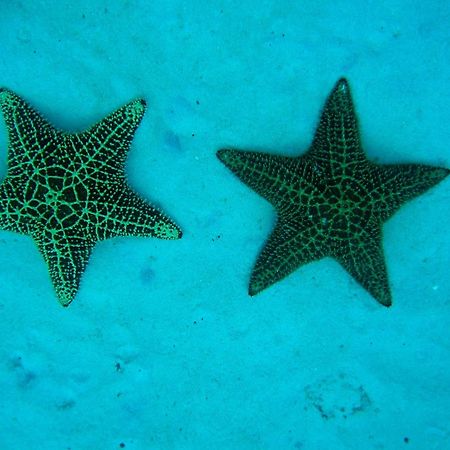 B&B Villa Luna Bayahibe Zewnętrze zdjęcie