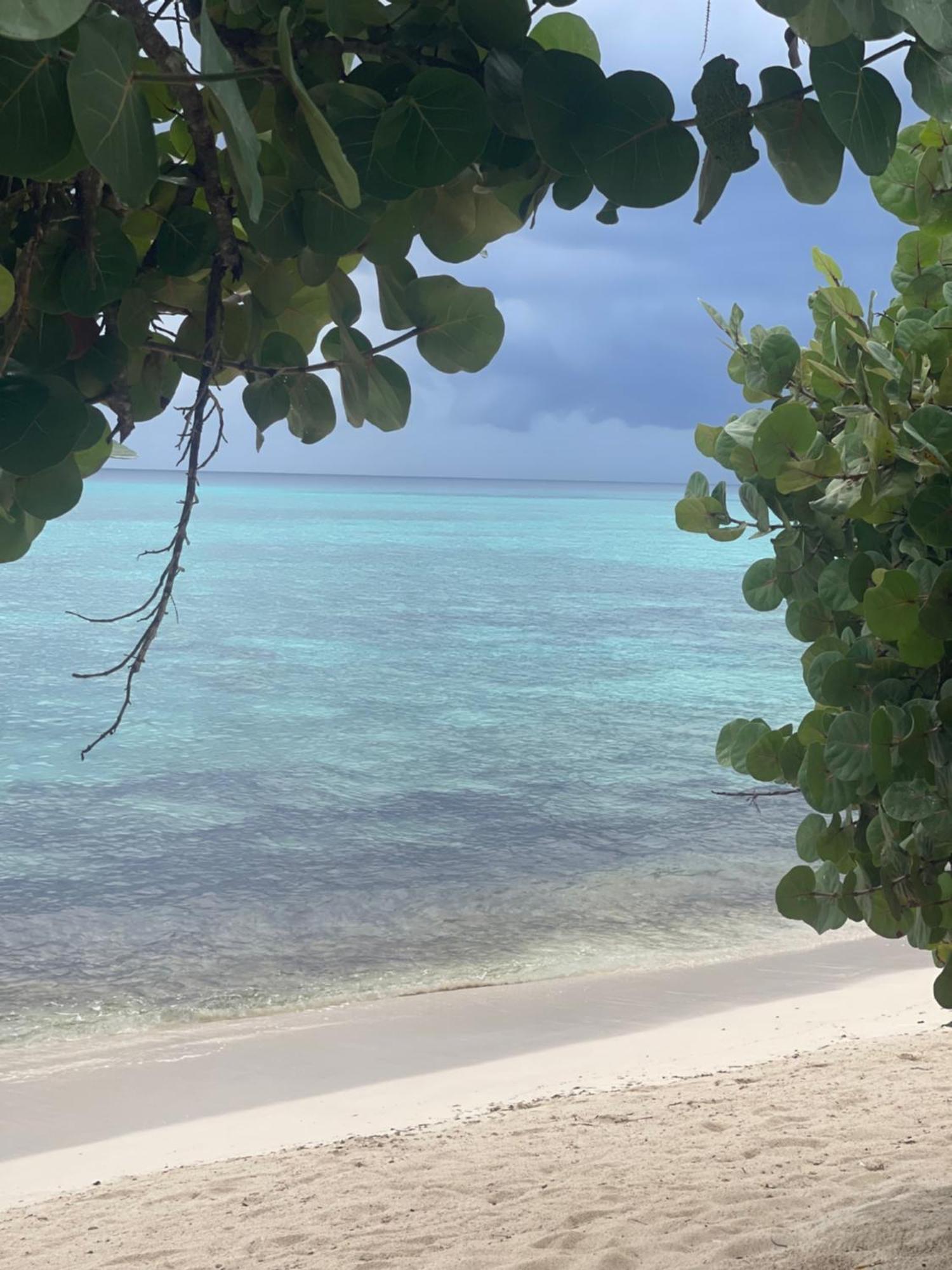 B&B Villa Luna Bayahibe Zewnętrze zdjęcie
