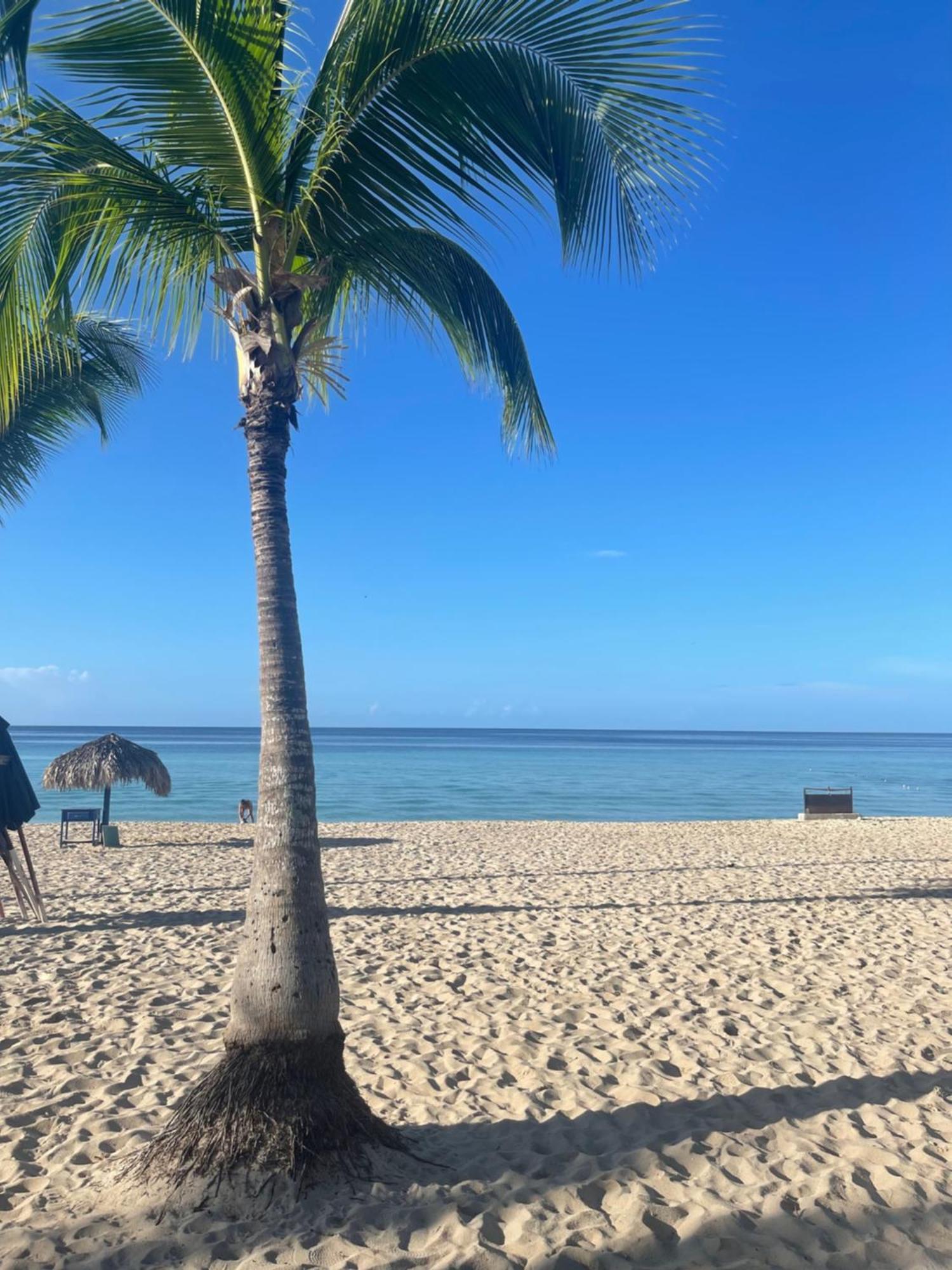 B&B Villa Luna Bayahibe Zewnętrze zdjęcie