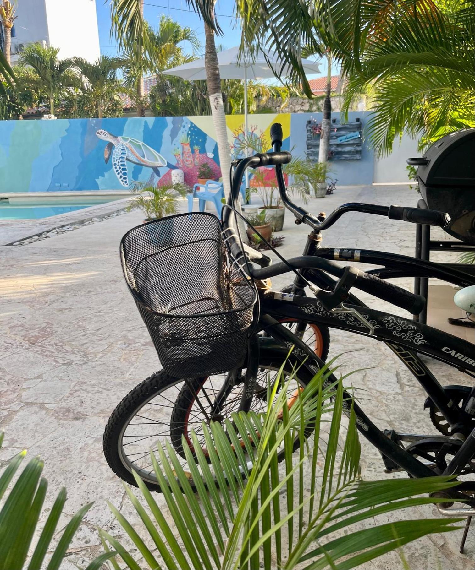B&B Villa Luna Bayahibe Zewnętrze zdjęcie