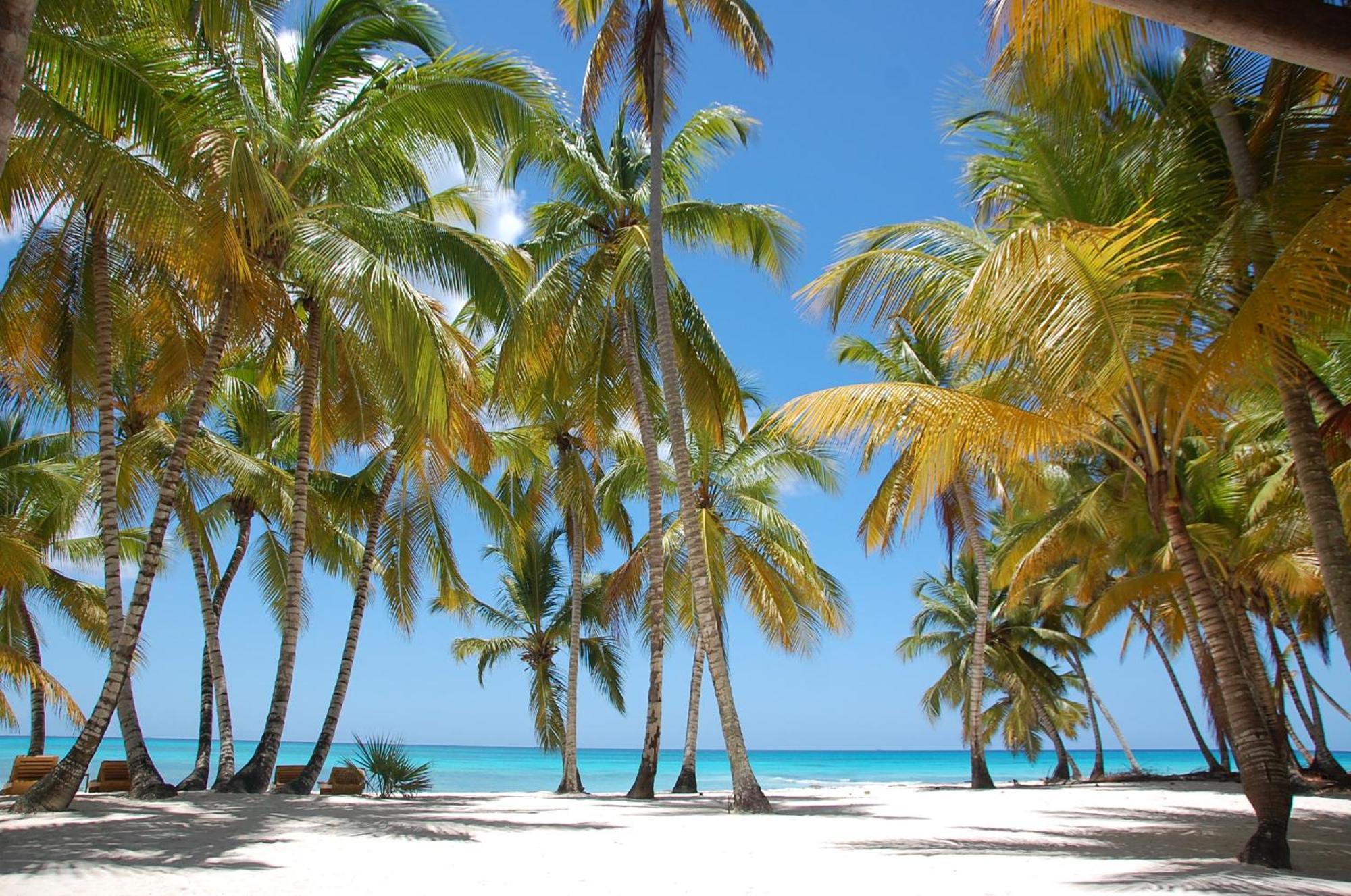 B&B Villa Luna Bayahibe Zewnętrze zdjęcie