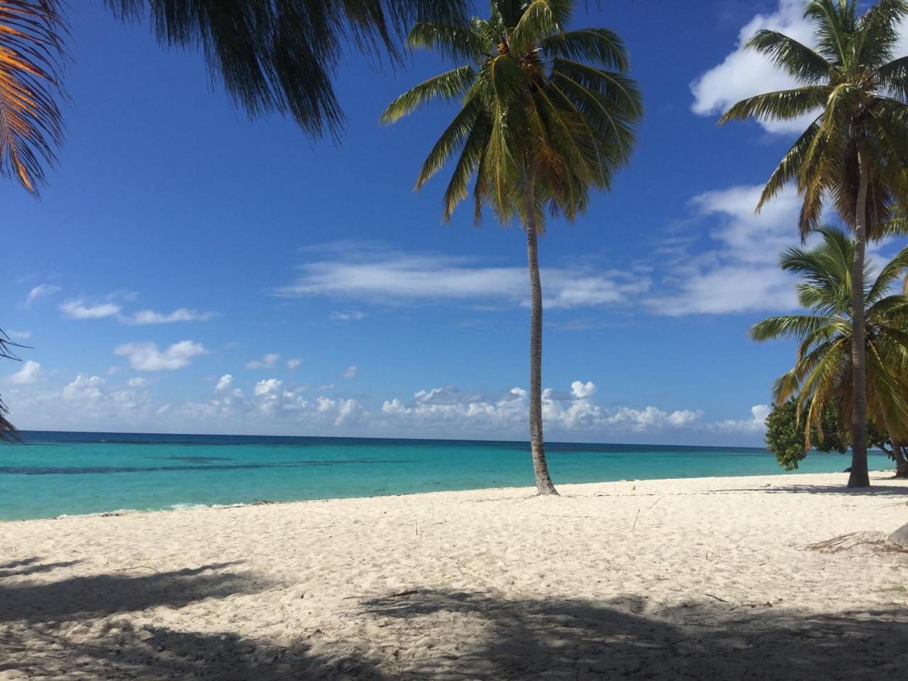 B&B Villa Luna Bayahibe Zewnętrze zdjęcie