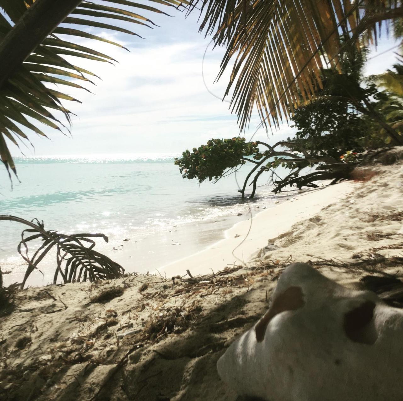 B&B Villa Luna Bayahibe Zewnętrze zdjęcie